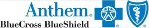 A blue and white logo for the anthem eshield.