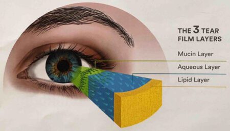 A close up of an eye with the words " the anatomy of a person 's eye ".